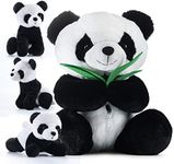 Plus Panda