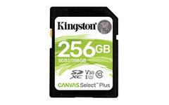 Kingston 256 GB SDXC Class 10 Flash Memory Card SDS2 Memory