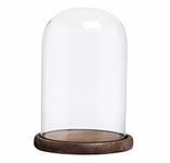 Decorative Clear Glass Cloche Bell Jar Display Case with Wood Base / Tabletop Centrepiece Dome