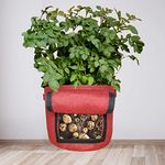 ORGANIC BAZAR 15"x12" Potato Grow Bag with Harvest Window for Home Gardening | Suitable for Root Vegetables, & Other Plants | Premium 450 GSM Geo Fabric Plant Bags (Pack of 1)