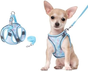 ORIA Cat Harness and Leash Set, Adjustable Cat Vest Harness, Escape Proof Kitten Harness with Reflective Strip, Easy Control Breathable Kitten Vest for Small Medium Cats, Blue, XXS