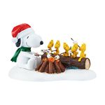 Department 56 Peanuts Village Campfire Buddies Figurines