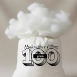ARLINENS 100Gram Hollow Fibre Stuffing or Filling for Cushions, Pillows, toys, teddy Bear, Pet Beds 100% Polyester High Grade Soft Hollow Fibre