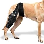 Dog Leg Braces for Back Leg - Dog Knee Brace for Support with Cruciate Ligament Injury, Joint Pain and Muscle Sore - Dog Knee Brace for Torn ACL Hind Leg Adjustable Rear Leg Braces (Large)