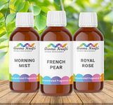 Aromakrafts Fragrance Oils for Soap Making & Candle Making - Morning Mist, French Pear, Royal Rose - Set of 3 (30ml each)