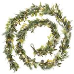 WeRChristmas Pre-Lit Frosted Mistletoe Garland, 55 Warm White LED Lights