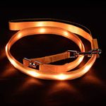 Blazin Light Up Dog Leash LED Dog Leash - 1,000 Feet of Visibility - USB Rechargeable Waterproof Glow in The Dark Dog Leash - 4 Foot, Orange