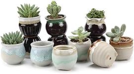 T4U Small Ceramic Succulent Pots with Drainage Set of 12, Mini Pots for Plants, Tiny Porcelain Planter, Air Plant Flower Pots Cactus Faux Plants Containers, Modern Decor for Home and Office