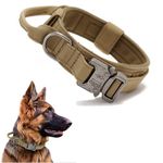 Collar For Dogs