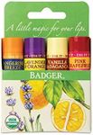 Badger Organic Lip Balm 4 Sticks Gift Set green Pack by grafton International, 2.4 Oz