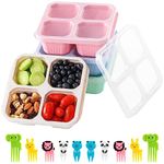 Tupperware Divided Lunch Container