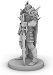 Fallen Paladin Tabletop DND Gaming 