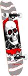 Complete Skateboard 8.0 x 31.45 Ripper One Off Silver