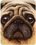 3D LiveLife Magnet - Pug from Deluxebase. Lenticular 3D Dog Fridge Magnet. Magnetic decor for kids and adults with artwork licensed from renowned artist, David Penfound