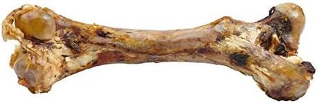 EcoKind Premium Giant Mastedon Femur Bone for Dogs | 1 Giant Bone | All Natural Femur Bone for Large Dogs and Aggressive Chewers