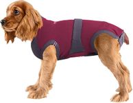 E Collar Alternatives For Dogs