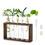 Tabletop Hanging Glass Planter Propagation Station Modern 5 Test Tube Flower Bud Vase in Wood Stand Rack Tabletop Terrarium for Hydroponic Plants Cuttings Office Home Decoration, Gift for Plant Lover