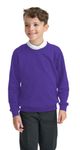 EX M&S Boys Girls Unisex School Crew Neck Round Neck Sweatshirt Uniform Ages 3-13 Years Purple