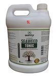 Greenedge Organic Liquid Seaweed Tonic (5 Liters) Concentrate for Flowering, Fruiting & Complete Soil Nourishment, 5 L