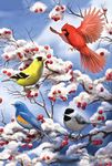 Toland Home Garden 1010478 "Finch And Cardinal Winter/Birds Decorative House Flag, 28" x 40"