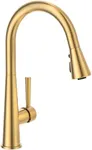 Gold Kitchen Faucet with Pull Down 
