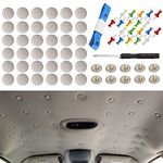 60 pcs Automotive Car Roof Headliner Button, Universal Auto Roof Snap Rivets Retainer Design for Car Roof Flannelette Fixed, with Installation Tool and Fit All Cars