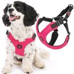 Gooby Escape Free Sport Harness - Pink, Small - No Choke Step-in Patented Neoprene Small Dog Harness with Four-Point Adjustment - Perfect on The Go Dog Harness for Medium Dogs No Pull and Small Dogs