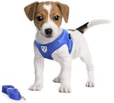 Pet's Playground Small Dog Harness | No Pull Dog Harness | Puppy Dog Harness | Dog Harness For Puppies | Dog Harness For Small Dogs | Harness for Small Dogs UK | Extra Small Dog Harness | Blue | S