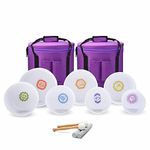 CVNC 440HZ Set of 7 PCS Chakra Design Frosted Quartz Crystal Singing Bowls 15cm-30cm(6 Inch - 12 Inch) with 2 PCS Travel Carry Case Bag