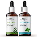 Aravi Organic 100% Pure Tea Tree And Peppermint Essential Oil For Healthy Hair and Skin - For Women and Men -15 ml Each