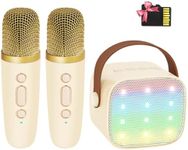 YLL Mini Karaoke Machine with 2 Wir