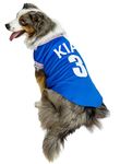 Official Rangers Football Team Dog Shirt (Personalised with Name and Number) (XX-Large - Dog Body Length: 18" / 45cm)