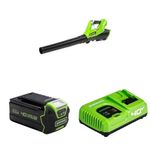 Greenworks Tools 40V Axial Cordless Leaf Blower G40AB + 40V Battery G40B4 + Tools Battery Fast Charger