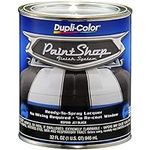 Dupli-Color BSP200 Paint Shop Finis