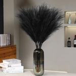 Wertuirk 9 Stems Black Pampas Grass