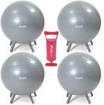 WALIKI Chair Ball with Feet for Kids 4 Pack | Alternative Classroom Seating Ball | 20"/50CM Gray