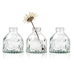 3 Pack Glass Bud Vase for Flowers Small Glass Vase for Table Decoration Home Party Decoration Transparent