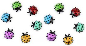 Ladybug Refrigerator Magnets, 3D Decorative Fridge Magnets, Fridge Magnetic Stickers Photo Message Home Decor, Kitchen Magnets Office Magnets for Whiteboard & Dry Erase Board