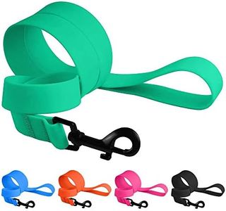 CollarDirect Waterproof Dog Leash Small Medium Large Durable Pet Leashes for Walking Training Running Pink Black Blue Orange Green (L, Mint Green)