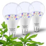 Grow Light Bulbs for Indoor Plants Full Spectrum,E26 A19 Grow LED Lamp Bulb 10W with Balanced Spectrum 5000K Red Blue for Seeds Greens Laboratory,School,Greenhouse, Indore Garden, Hydroponic,3Pack