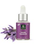 Organic Harvest Lavender Essential Oil, Cures Dry Acne, Hair Growth, Face, Hair Care, Pure & Undiluted Therapeutic Grade Oil, Excellent for Aromatherapy,100% Organic, Paraben & Sulphate Free, 30 ml