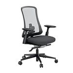 ProtoArc Ergonomic Office Chair - Flexer Nylon Breathable Mesh Chair (Flexer Pro-Black)