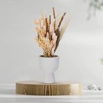 Anko Artificial Bleached Greenery Bunch with White Stoneware Vase | Decorative Items for Home, Office, Bedroom, Balcony, Living Room, Table Top | Natural Look Artificial Plant for Home Décor