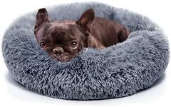 Small Calming Dogs Bed for Small Do