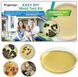 Mold Test Kit for Home - 12 Simple 