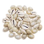 GraceAngie 100pcs Open Back Natural Spiral Shell Beads Smooth Cut Oval Seashells Beach Seashells Cowrie Shells Charm Beads with Hole for DIY Craft Jewelry Making, Vase Filler Fish Tank Home Decor, 0.6"-1"