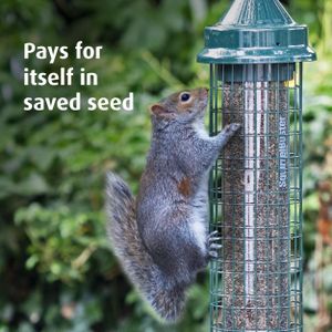 Jacobi Jayne Squirrel Buster Finch Bird Feeder – Squirrel & Pigeon Proof, Easy Clean, for Niger Seeds