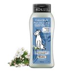 Wahl Canada Dog Puppy Colour Bright Shampoo, Plant Derived Shampoo in White Pear Help Whites to Look Whiter and Colours to Look Brighter, Paraben-Free, 700ml, model 58324