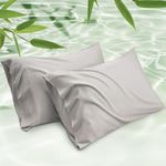 Mush Bamboo Solid Pillow Cover Set of 2|400 TC|100% Bamboo Pillow Cover for Hair&Skin|Breathable,Silky Soft&Envelope Pillowcases for Hot Sleepers&Night Sweats|17"x27" (Silver Mist,King)