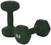 20 Pound Dumbbells